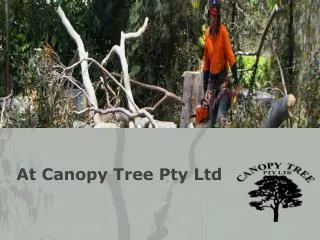 At Canopy Tree Pty Ltd