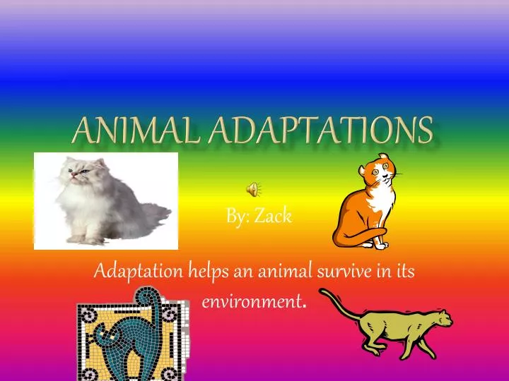 PPT - Animal Adaptations PowerPoint Presentation, free download - ID ...