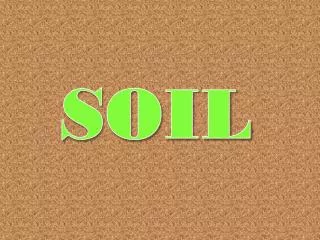 SOIL