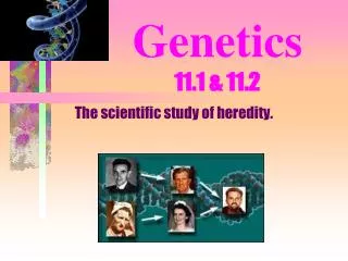 Genetics 11.1 &amp; 11.2