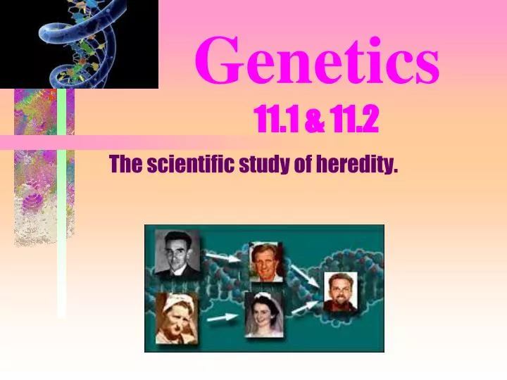genetics 11 1 11 2