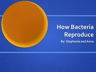 How Bacteria Reproduce