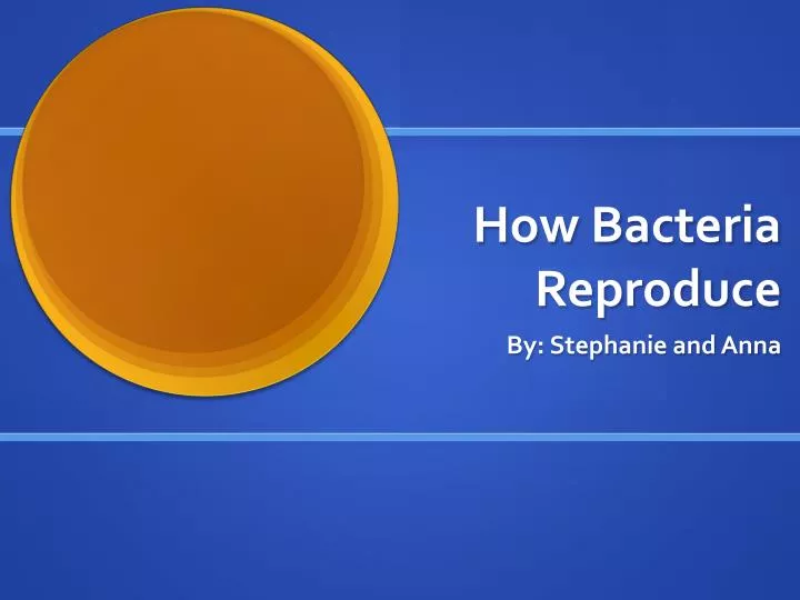 how bacteria reproduce