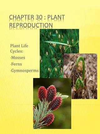 Chapter 30 : Plant Reproduction