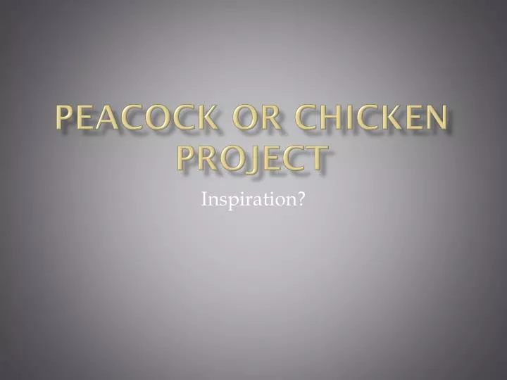 peacock or chicken project