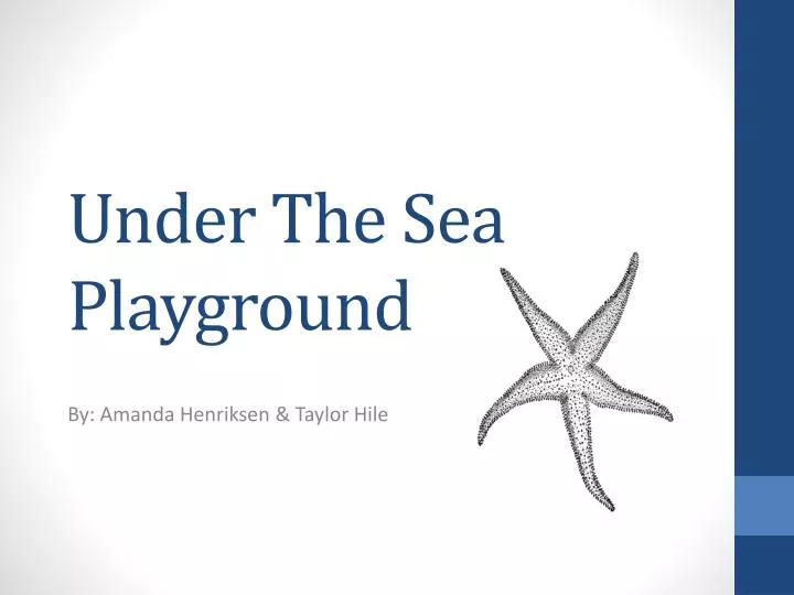 under the sea playground