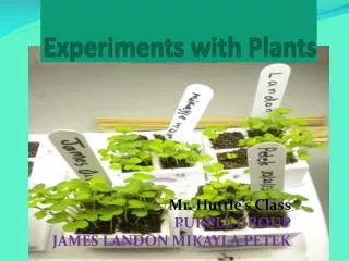 Experiments with Plants
