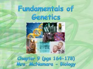 Fundamentals of Genetics