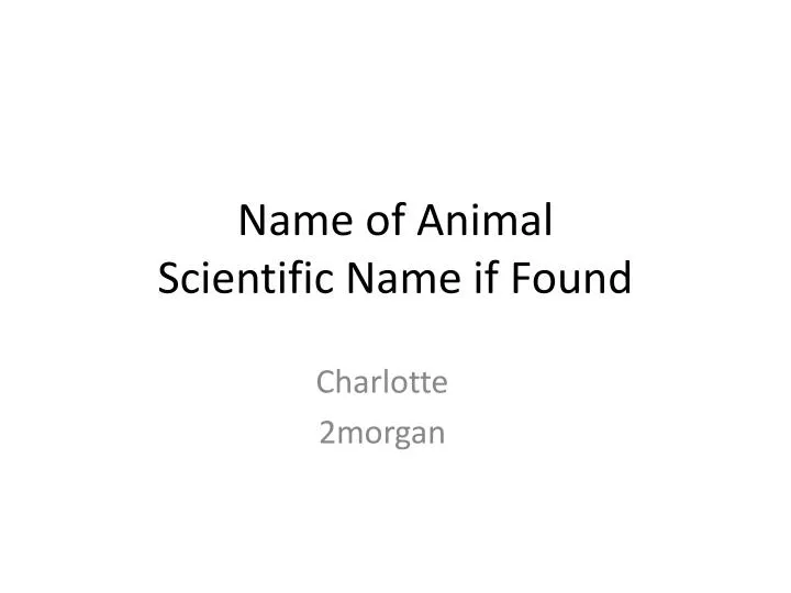 name of animal scientific name if found
