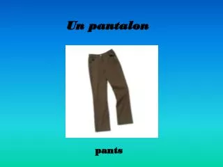 Un pantalon