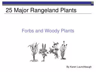 25 Major Rangeland Plants