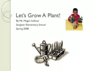 Let’s Grow A Plant!