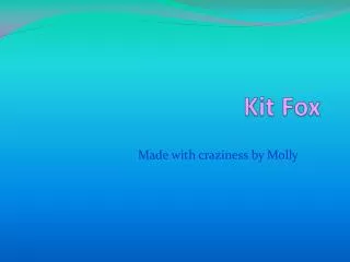Kit Fox