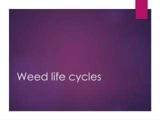 Weed life cycles