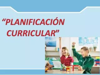 planificaci n curricular