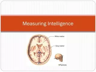 Measuring Intelligence