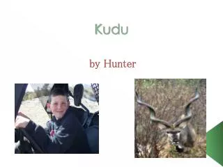 Kudu