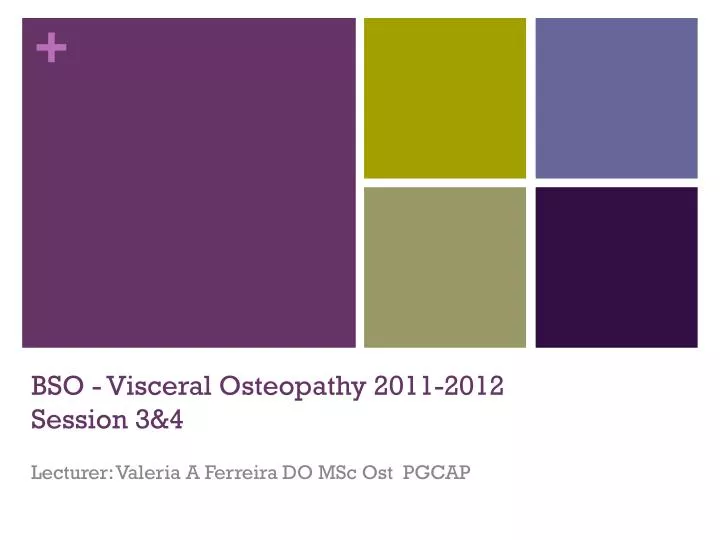 bso visceral osteopathy 2011 2012 session 3 4