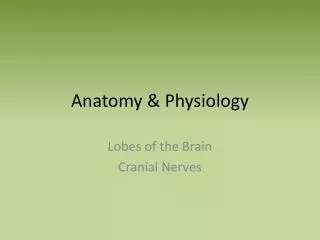 Anatomy &amp; Physiology