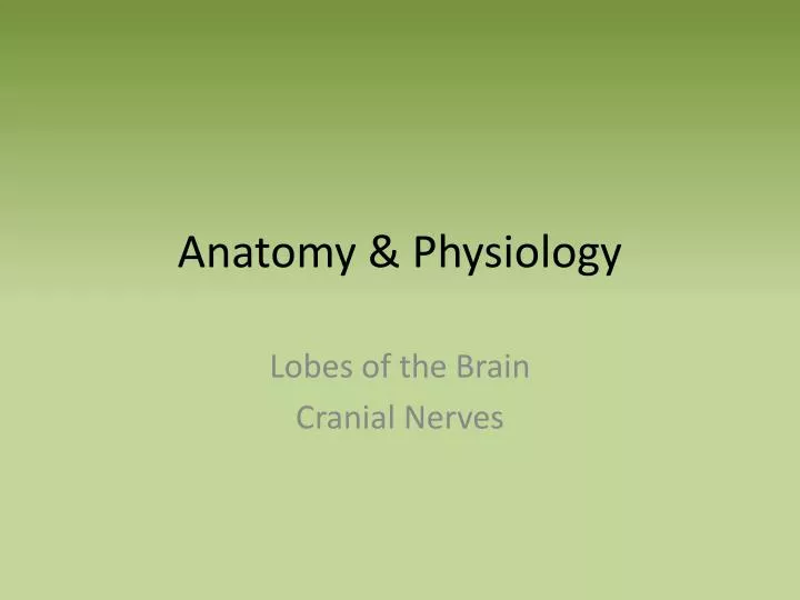 anatomy physiology