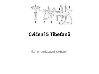 cvi en 5 t ibe an