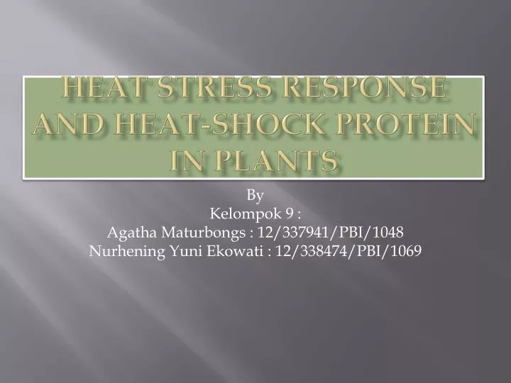 heat stress response and heat shock protein in plants