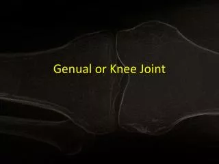 Genual or Knee Joint