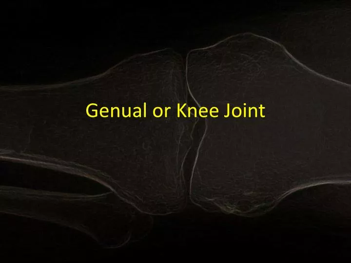 genual or knee joint