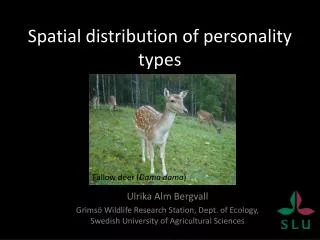 Spatial distribution of personality types