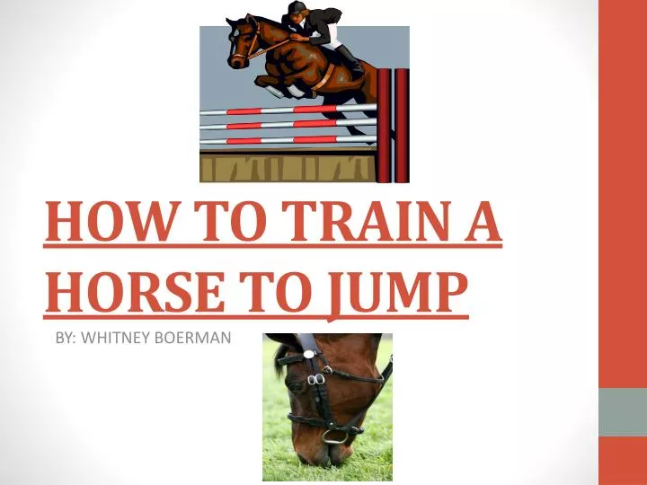 how to train a horse to jump