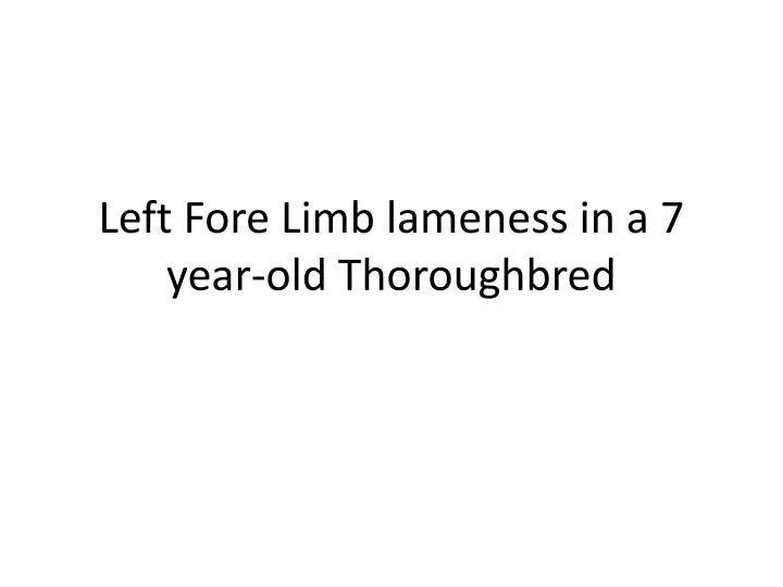 left fore limb lameness in a 7 year old thoroughbred