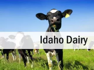 Idaho Dairy