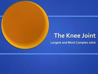 The Knee Joint