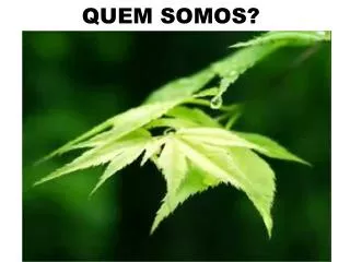 quem somos