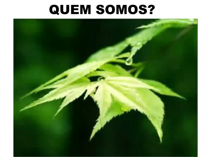 quem somos