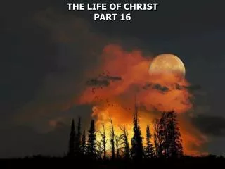 THE LIFE OF CHRIST PART 16