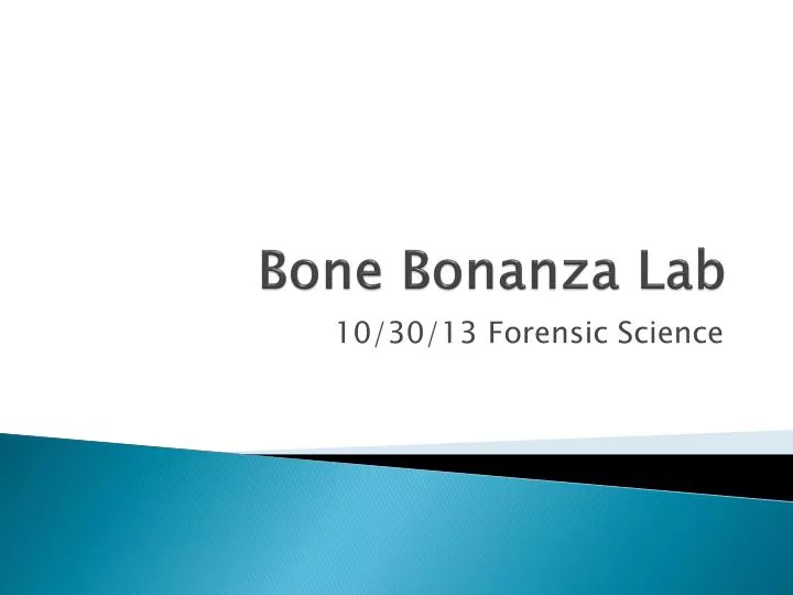 bone bonanza lab