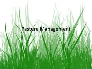 Pasture Management