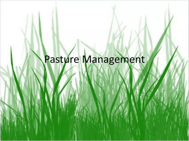 pasture management