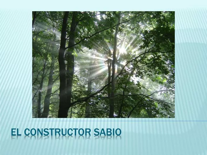 el constructor sabio