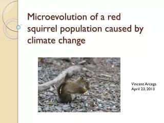 Microevolution of a red squirrel population caused by climate change