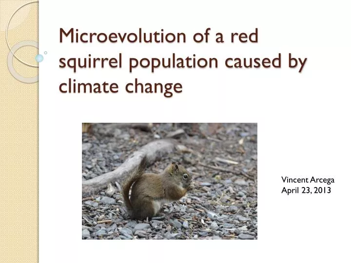 microevolution of a red squirrel population caused by climate change