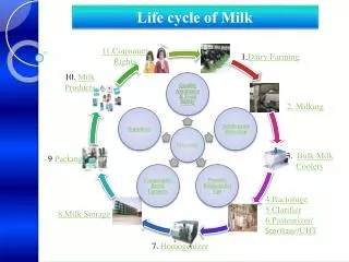 1. Dairy Farming