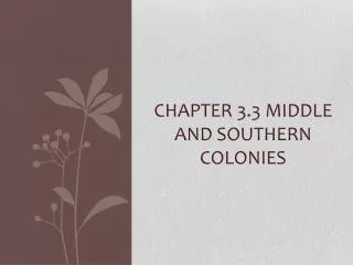 Chapter 3.3 Middle and southern colonies