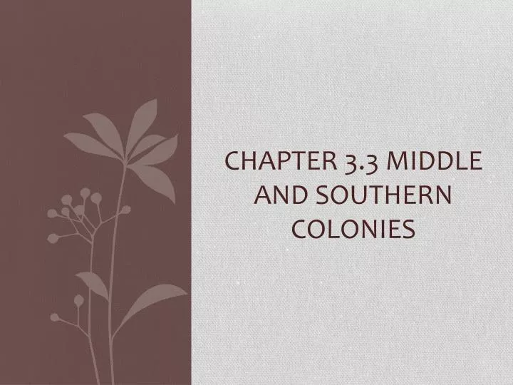 chapter 3 3 middle and southern colonies