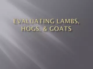 Evaluating lambs, Hogs, &amp; Goats