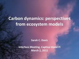 Carbon dynamics: perspectives from ecosystem models