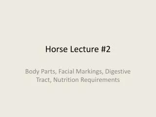 Horse Lecture #2