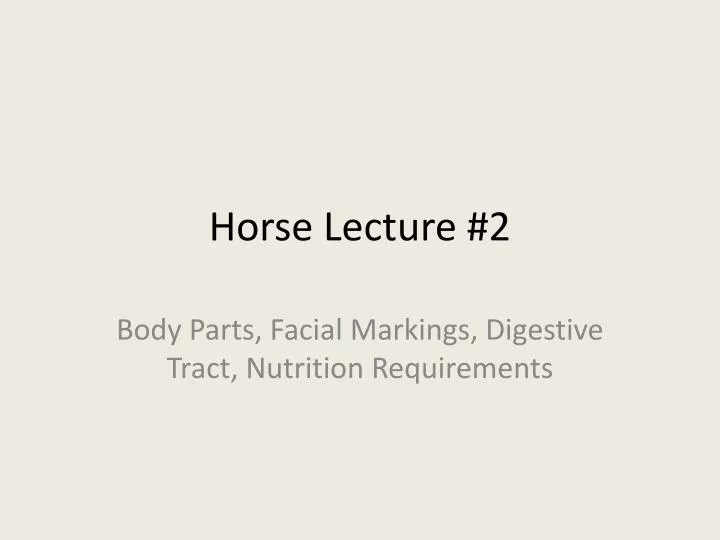 horse lecture 2