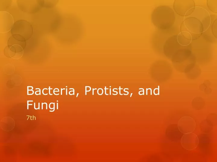 bacteria protists and fungi